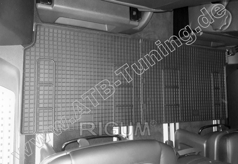 VW T5 Multivan Fumatten