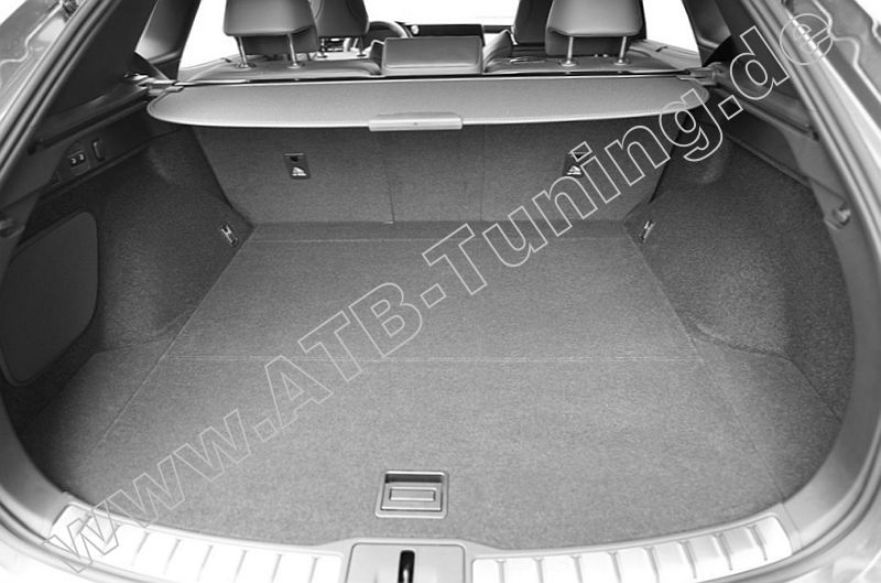 Lexus RX V (AL30) Kofferraumwanne