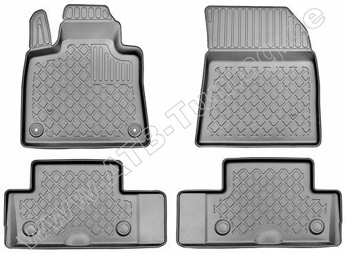 Fumatten (Schalenmatten) Citroen C4 Picasso, Spacetourer 02/2013-06/2022